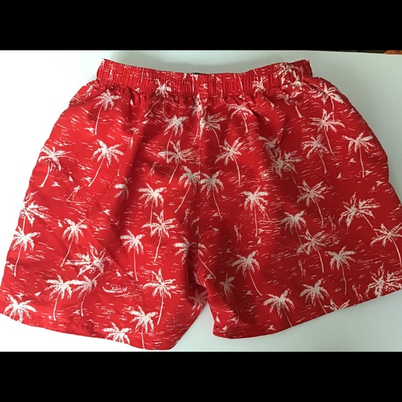 Men’s Swim Trunks - Picture 2 of 3